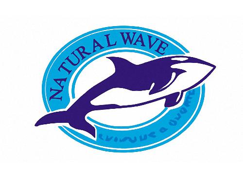 NATURALWAVE+鲸鱼图形