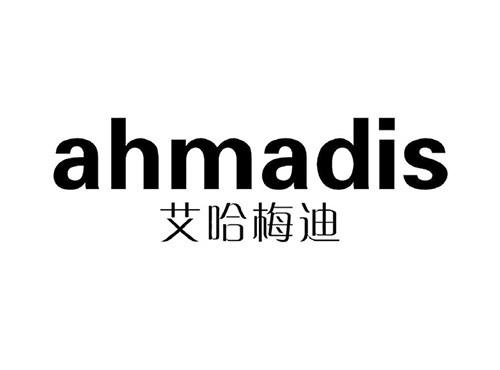 艾哈梅迪