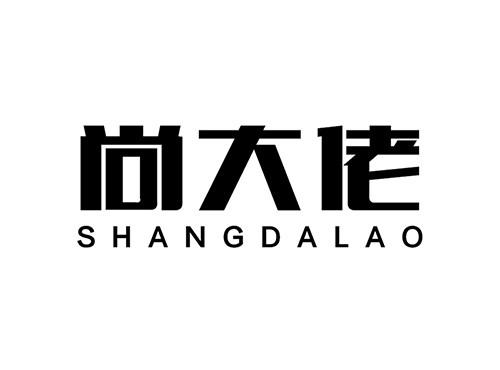 尚大佬