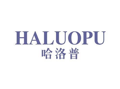 哈洛普