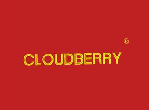 CLOUDBERRY