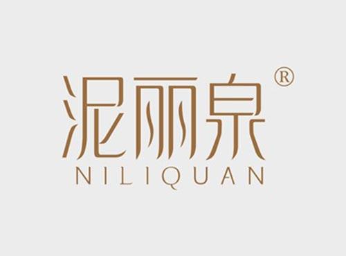 泥丽泉