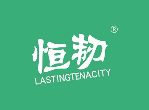 恒韧 LASTINGTENACITY