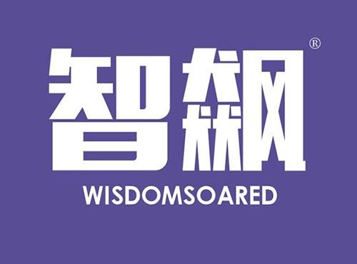 智飙 WISDOMSOARED