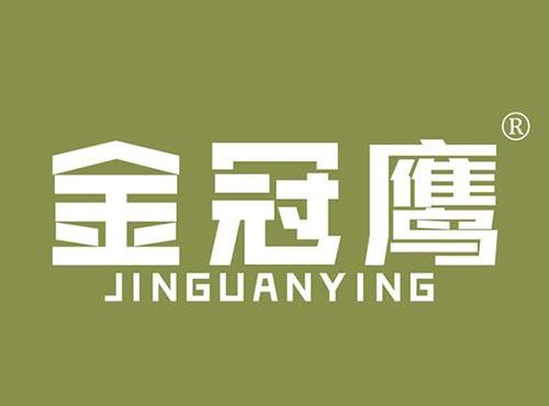 金冠鹰
