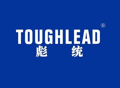 彪统 TOUGHLEAD