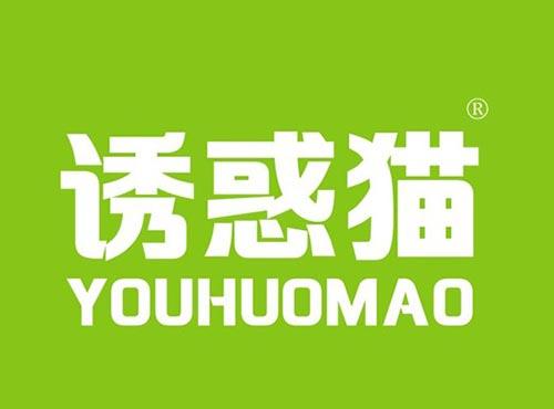 诱惑猫