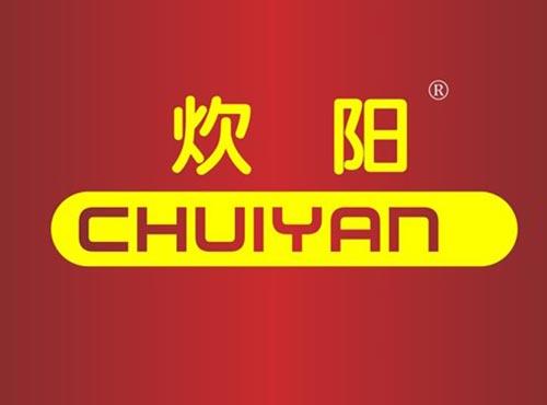炊阳