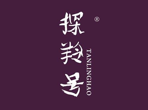 探羚号