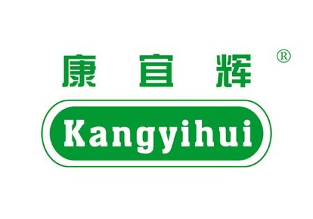 康宜辉