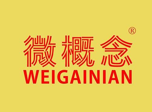 微概念