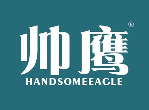 帅鹰 HANDSOMEEAGLE