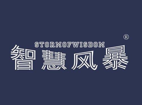 智慧风暴 STORMOFWISDOM