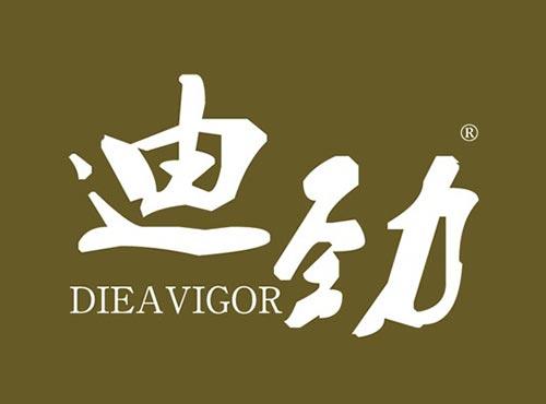 迪劲 DIEAVIGOR