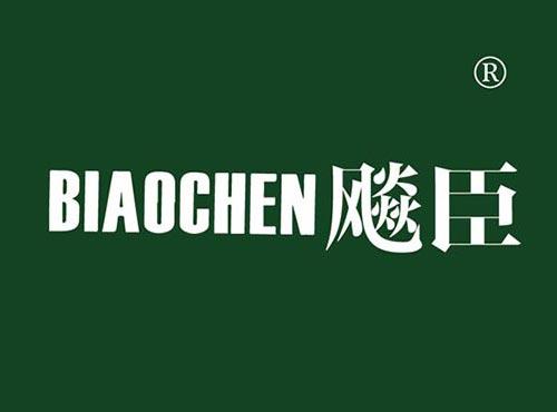 飚臣