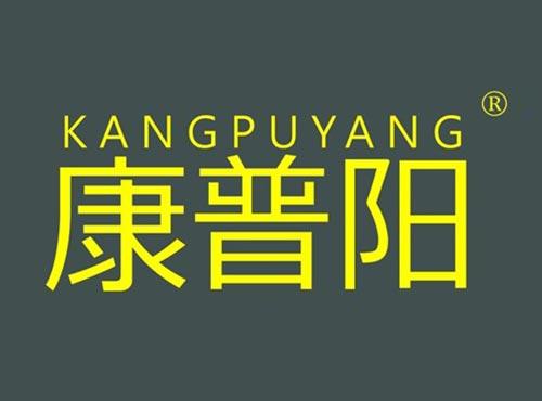 康普阳