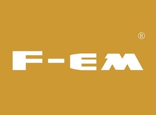 FEM
