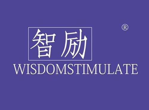 智励 WISDOMSTIMULATE