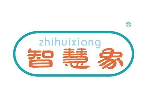 智慧象