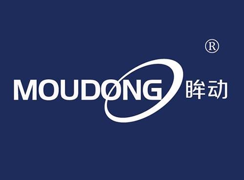 眸动