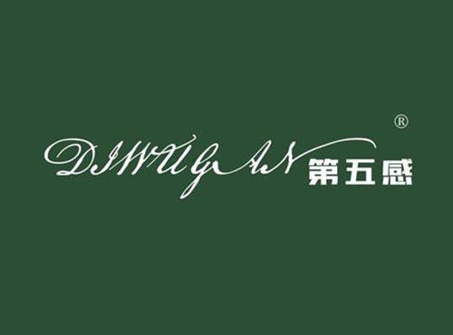 第五感