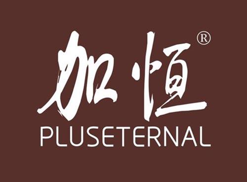 加恒 PLUSETERNAL