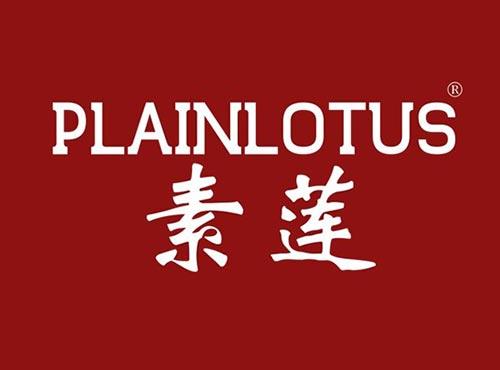 素莲 PLAINLOTUS