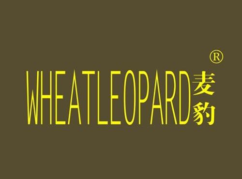 麦豹 WHEATLEOPARD