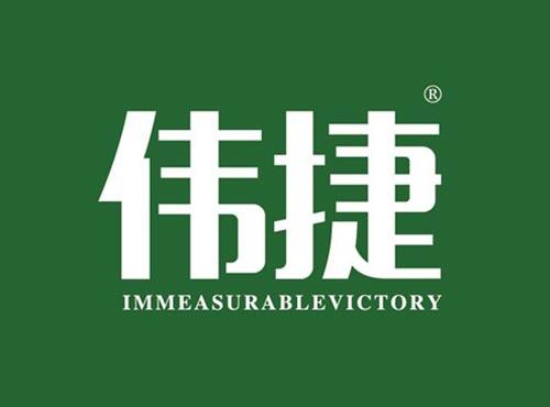 伟捷 IMMEASURABLEVICTORY