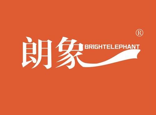 朗象 BRIGHTELEPHANT
