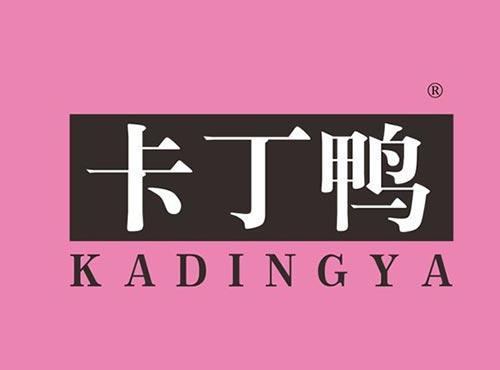 卡丁鸭