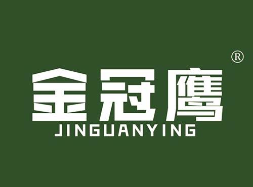 金冠鹰