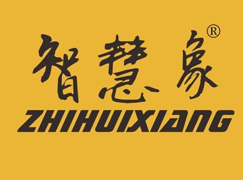 智慧象