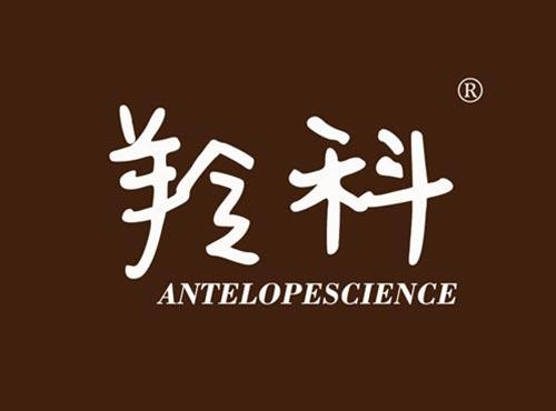 羚科 ANTELOPESCIENCE