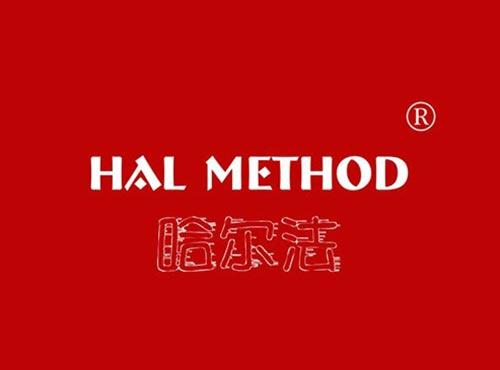 哈尔法 HAL METHOD