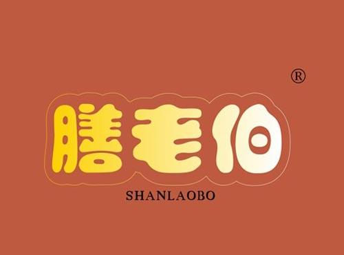 膳老伯