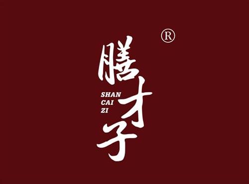 膳才子