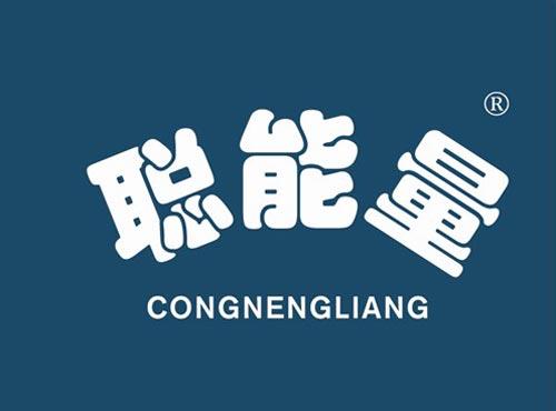 聪能量