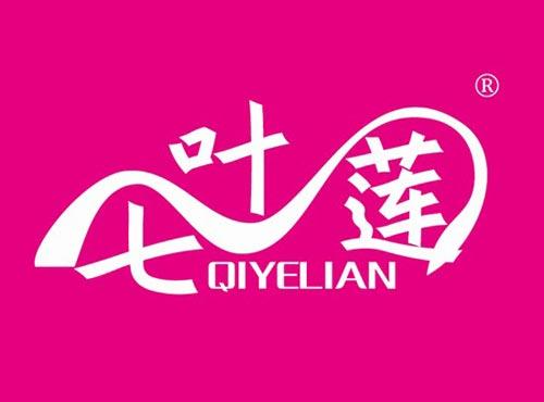 七叶莲