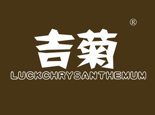 吉菊 LUCKCHRYSANTHEMUM