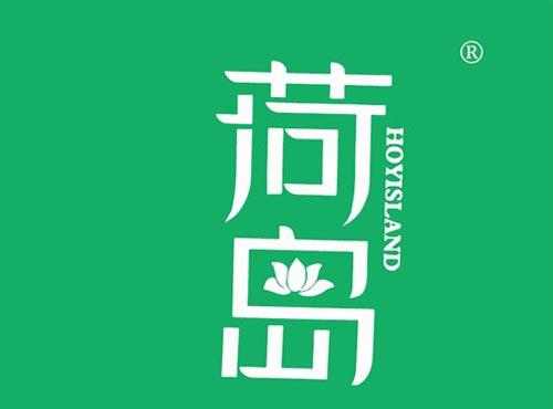 荷岛 HOYISLAND