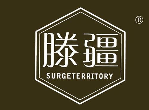 滕疆 SURGETERRITORY