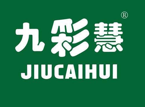 九彩慧