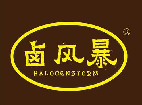 卤风暴 HALOGENSTORM