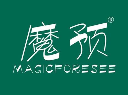 魔预 MAGICFORESEE