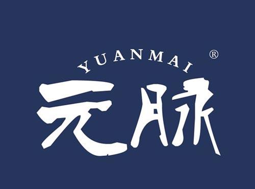 元脉