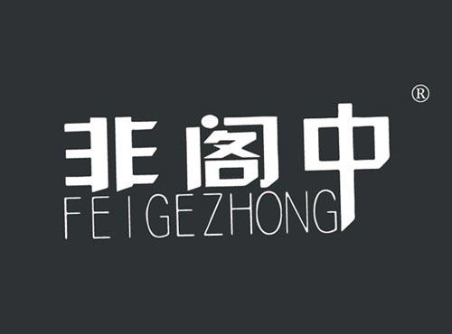 非阁中