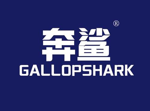 奔鲨 GALLOPSHARK