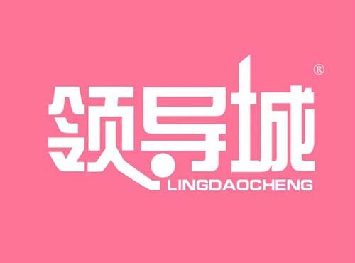 领导城