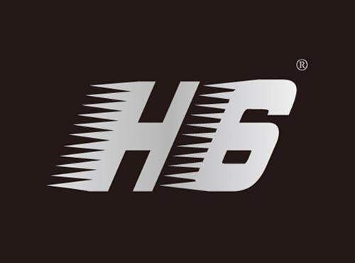 H6